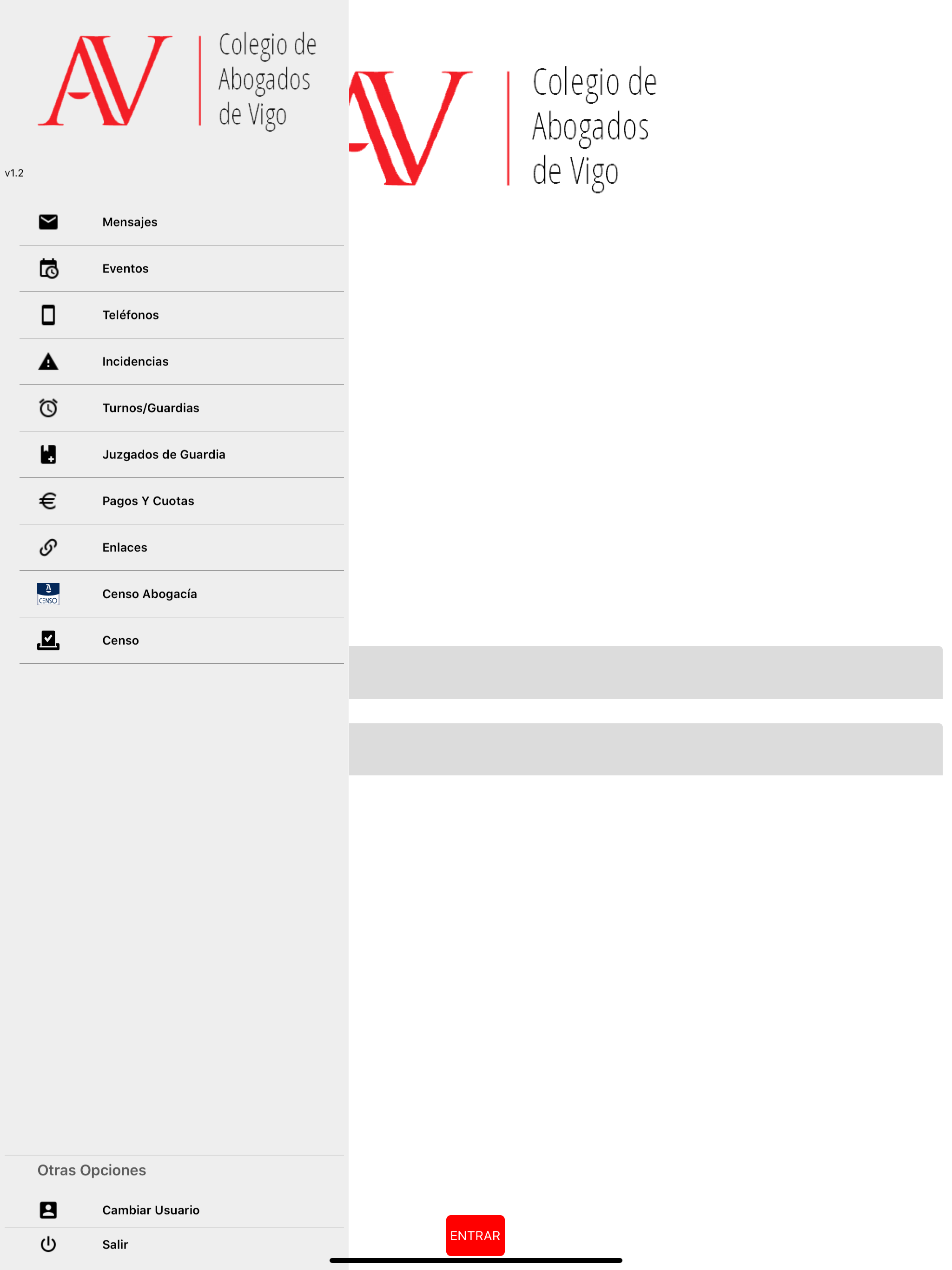 ICA Vigo screenshot 5