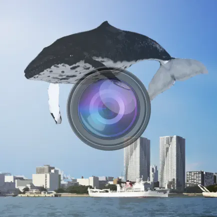 Whale Camera Читы