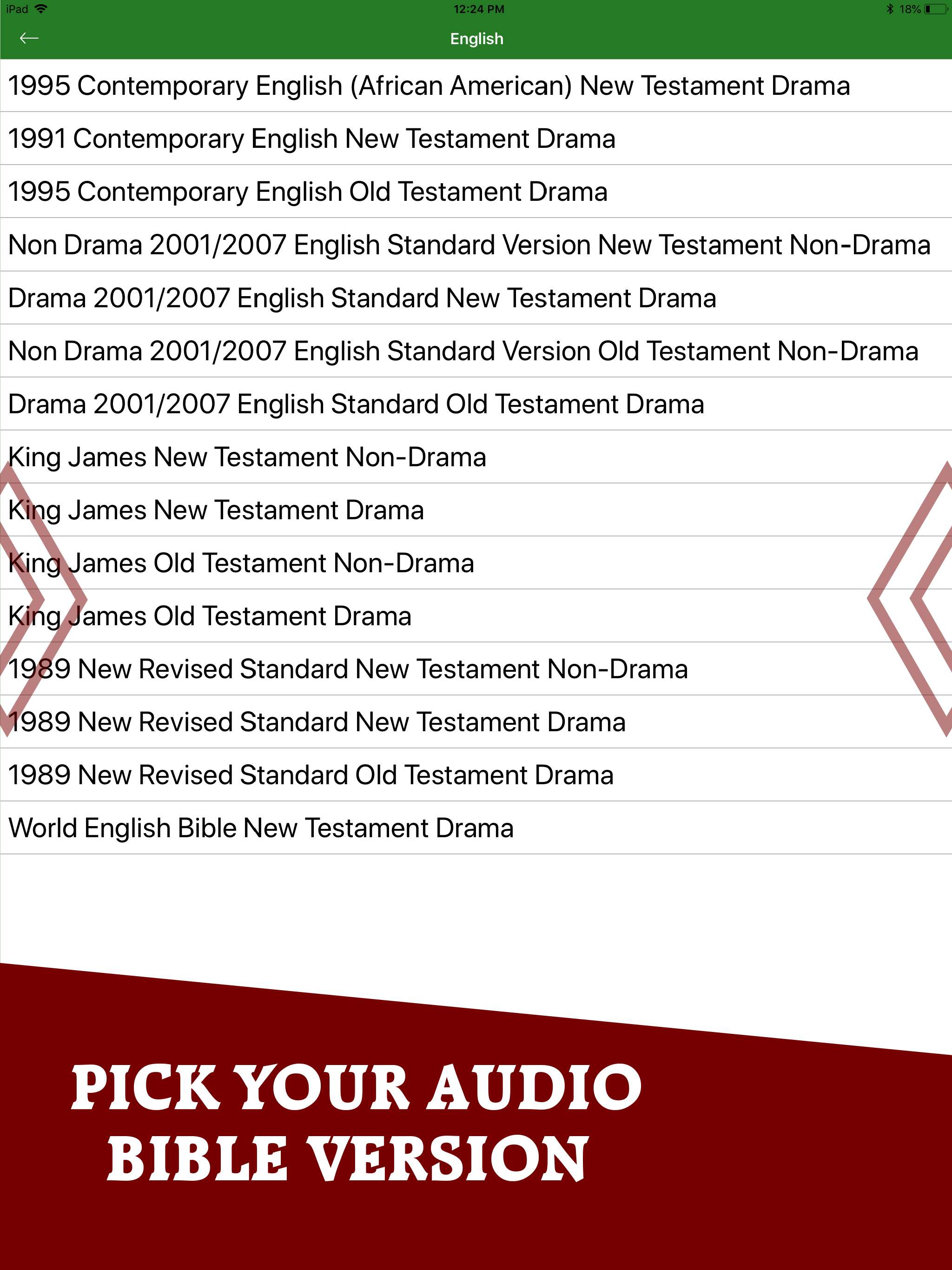 Bible Audio · screenshot 13