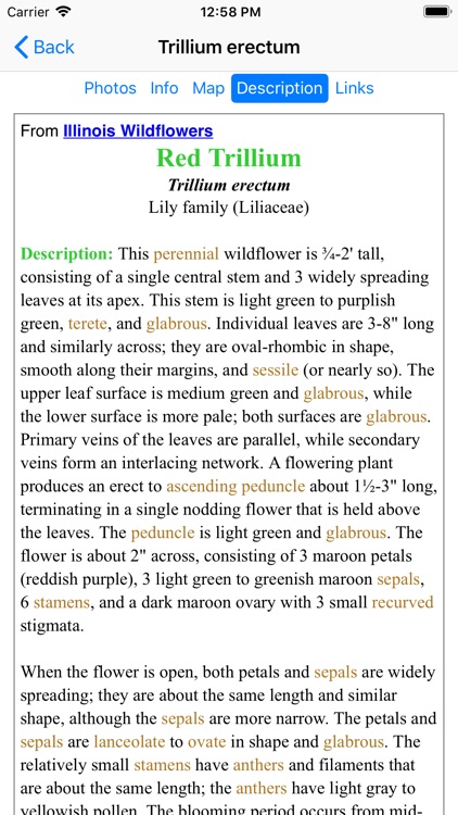 Ohio Wildflowers screenshot-6