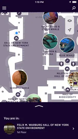 Game screenshot Explorer - AMNH NYC mod apk