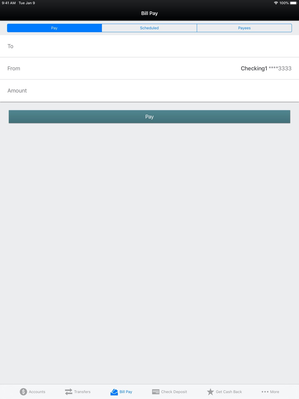 iPad screenshot