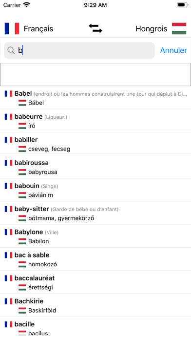 Dictionnaire Hongrois-Français Screenshot
