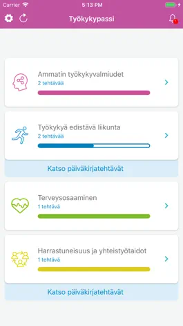 Game screenshot Työkykypassi apk