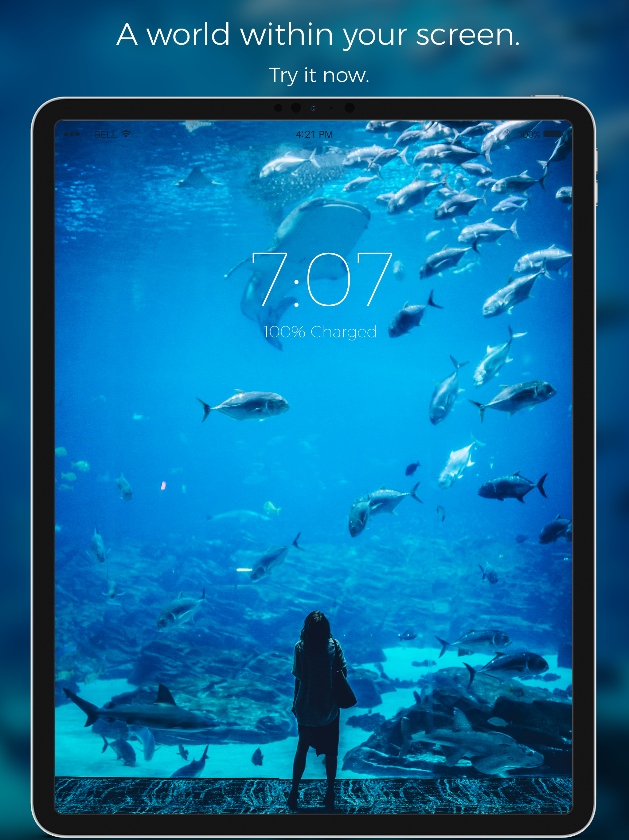 Live Wallpapers for Everyone screenshot 11