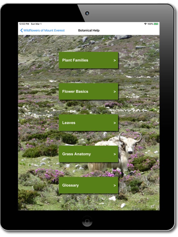 Wildflowers of Mount Everest iPad screenshot