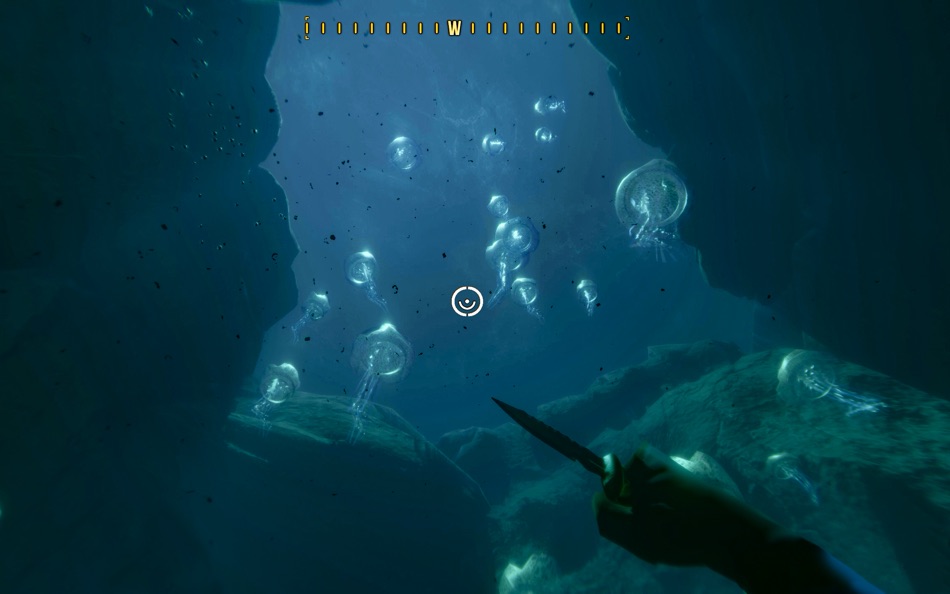 #5. Deep Diving Simulator (macOS) By: Jujubee