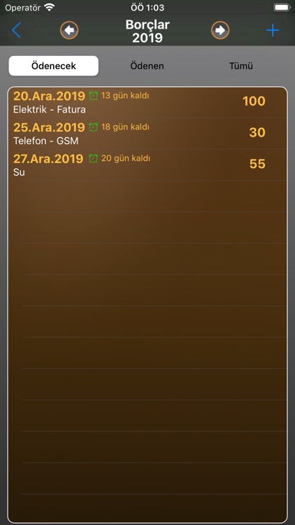 iBütçe screenshot-5