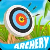 Arrow Shot Archery Master