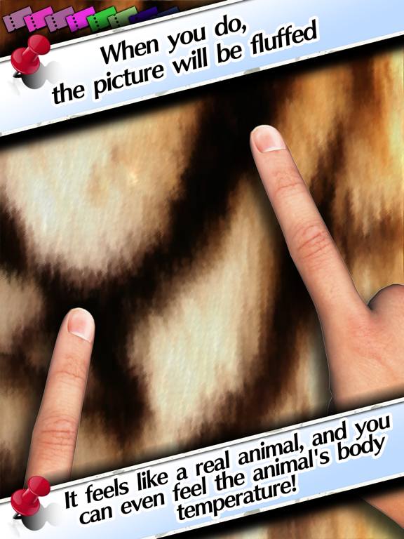 Fluffy Camera iPad screenshot 2 - Photo & Video app