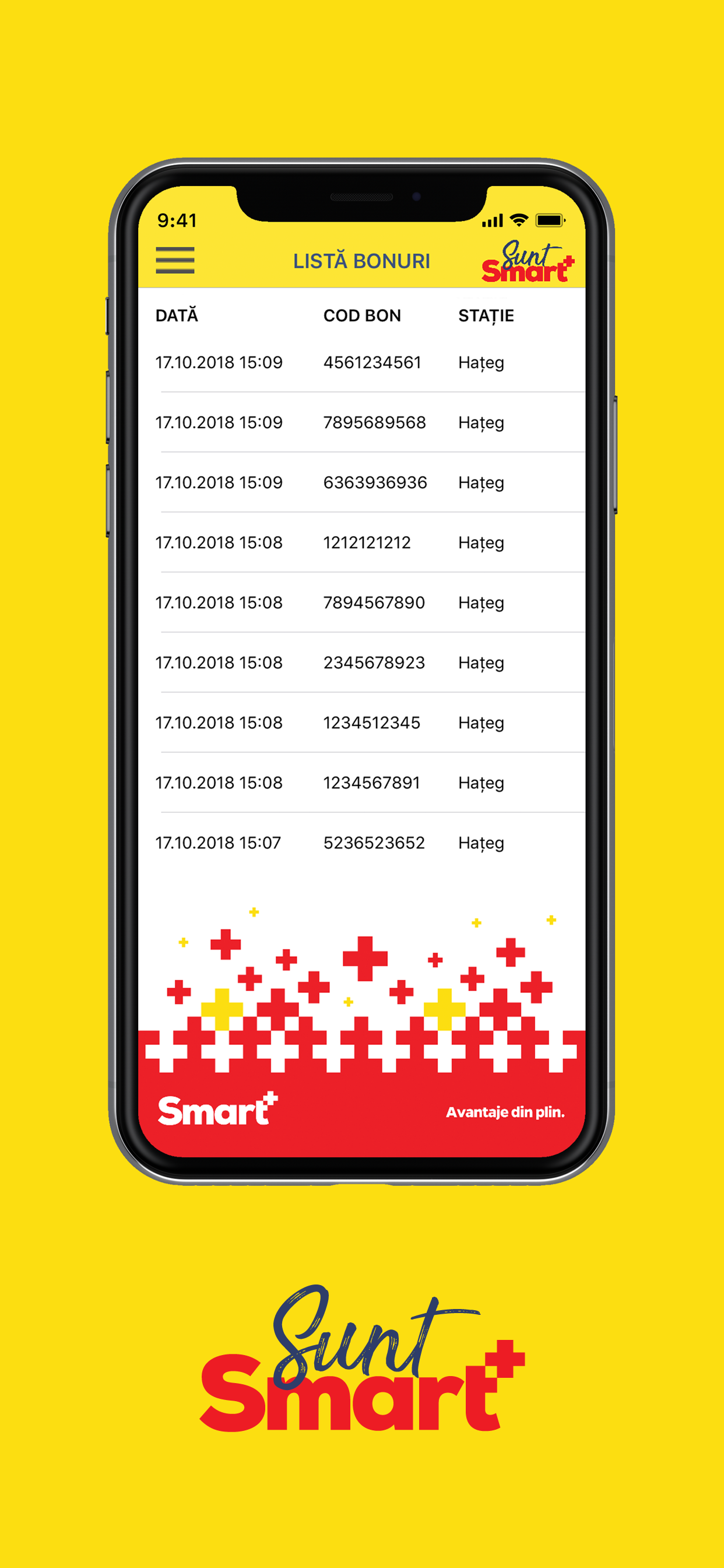 Sunt Smart