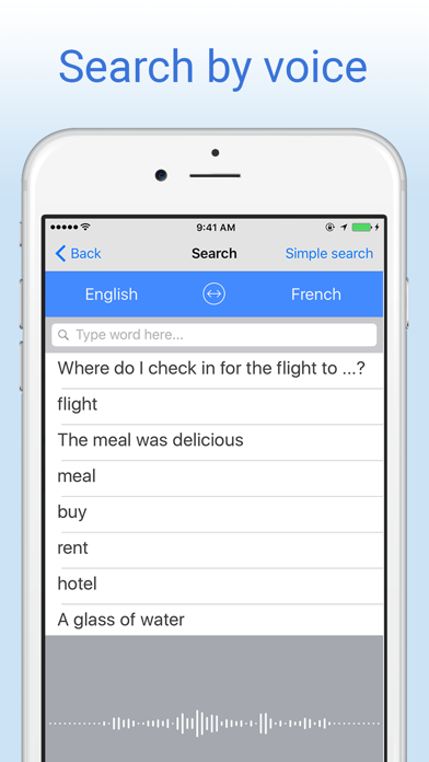 English-French Dictionary. Screenshot