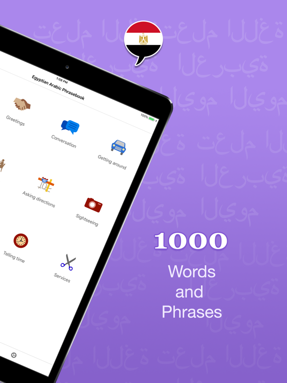 Screenshot #5 pour Easy Egyptian Arabic