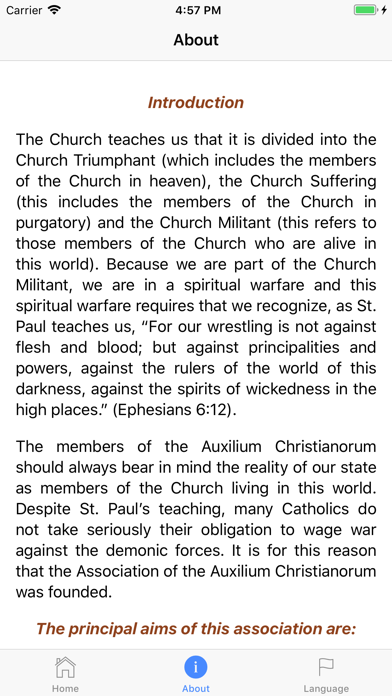 Auxilium Christianorum Screenshot