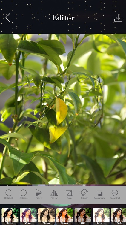 91 PicEdit screenshot-3