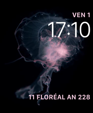 Calendrier républicain moderne(圖9)-速報App