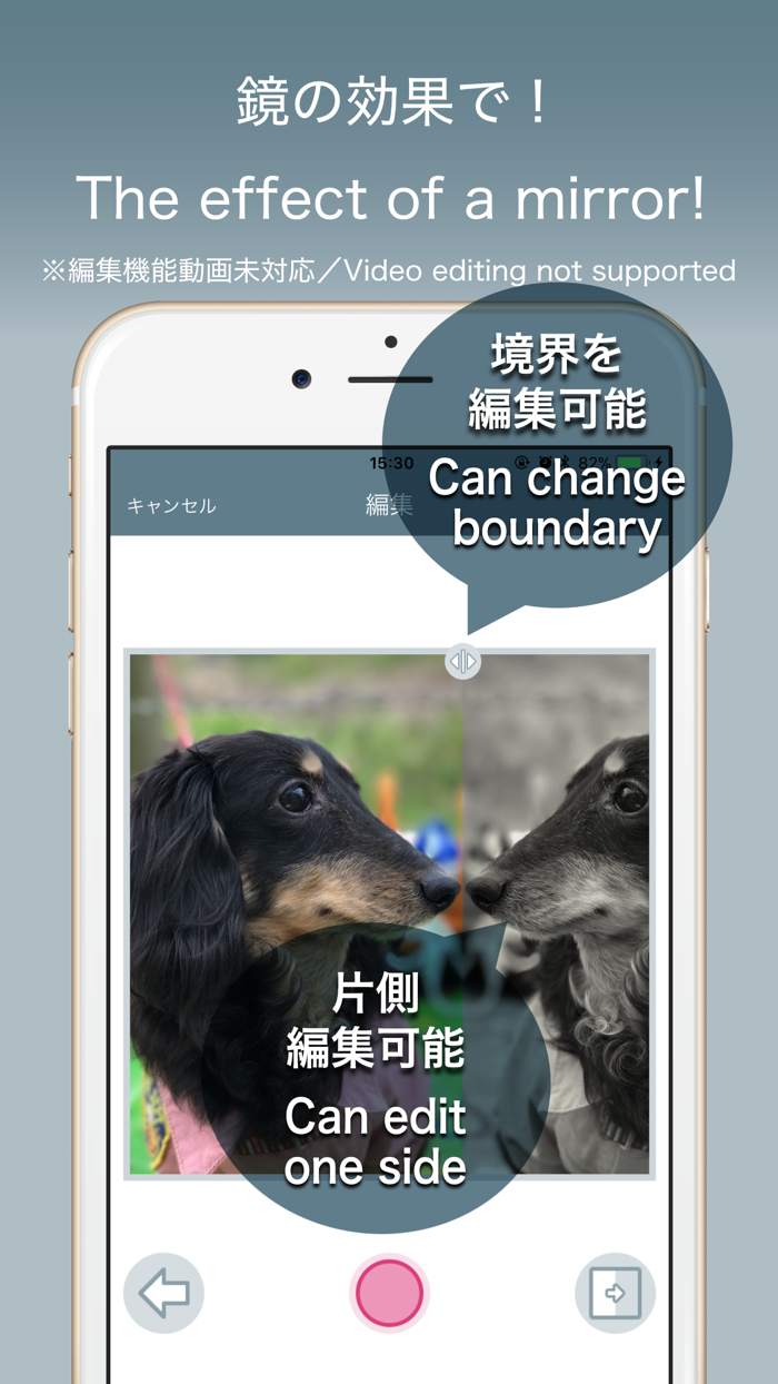 CaMirror - Flip Photo Mirror -