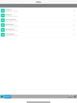 OffiCalc XLS editor Sheets screenshot 6
