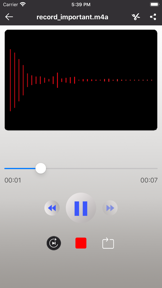 Voice Recorder -Audio Recorder screenshot