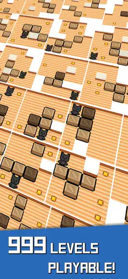 Game screenshot Cat's push box 999 apk
