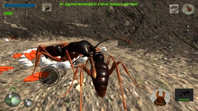 Ant Simulation Fullのおすすめ画像3