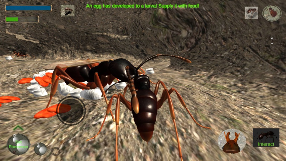 #3. Ant Simulation Full (iOS) 由: mnhksdevelopment
