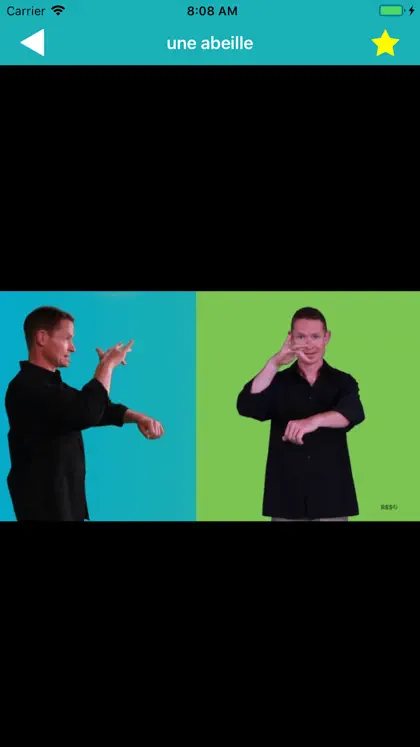 Captura de tela 3 de 6 de DICO LSQ