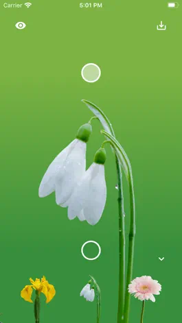 Game screenshot Flower Wallpaper Maker hack