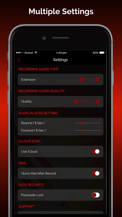 Quick Recorder: Voice Recorder screenshot-4