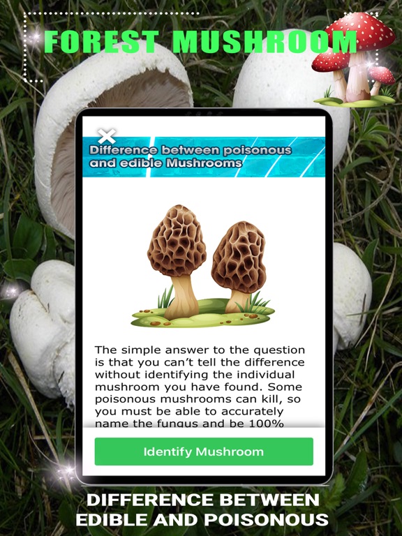 Forest Mushroom iPad screenshot 2 - Education app
