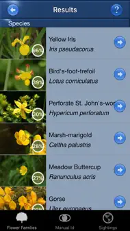 Wild Flower Id British Isles iphone bilder 2