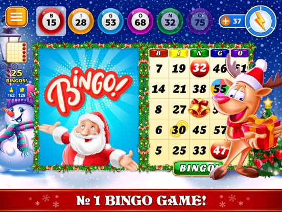 Screenshot #4 pour Bingo Christmas Holidays 2024
