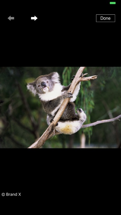 Macquarie School Dictionary screenshot-3