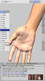 the combinations for acupoint iphone resimleri 4