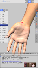 The Combinations For Acupoint screenshot