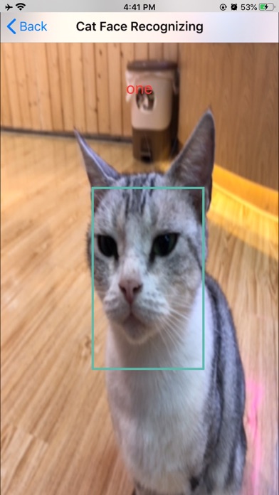 Catreco - Cat Face Recognitionのおすすめ画像6