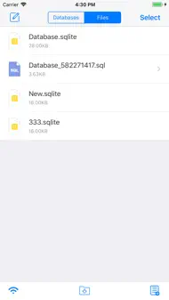 SQLite - Editor & Browser iphone resimleri 4