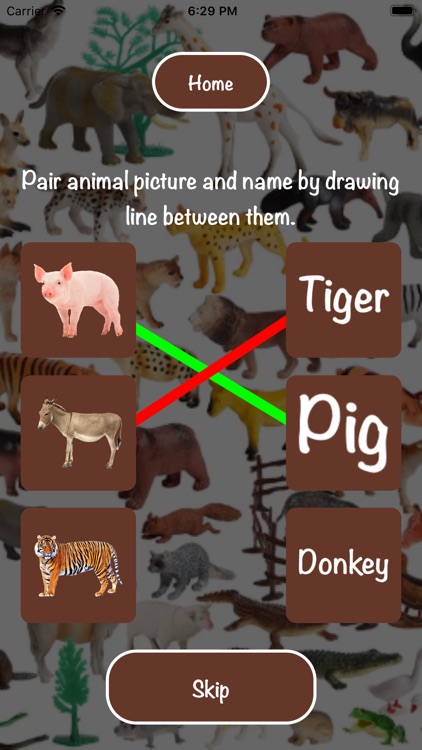 Cross Animal Bird screenshot-5