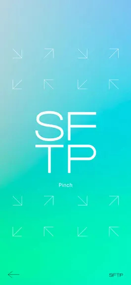 Game screenshot SFTP mod apk