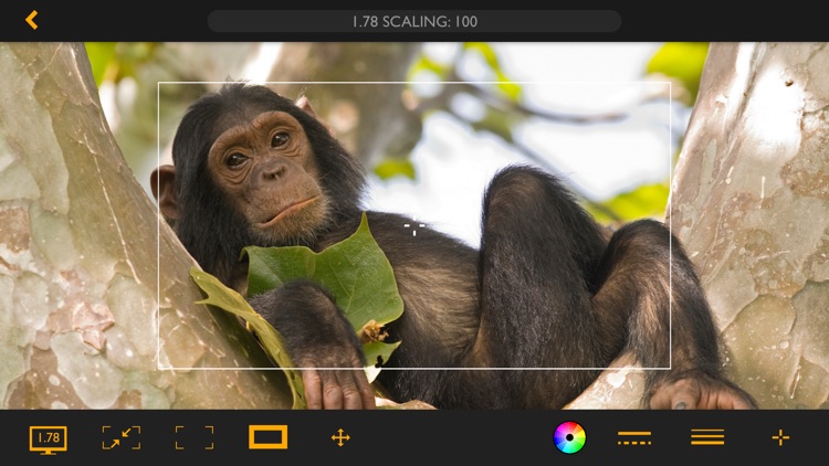 Artemis Pro screenshot-3