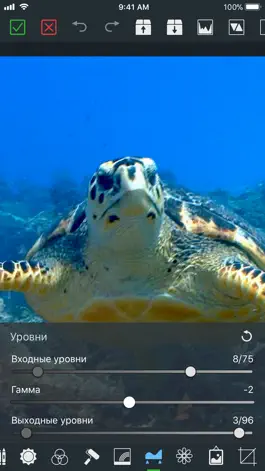 Game screenshot VideoGrade mod apk