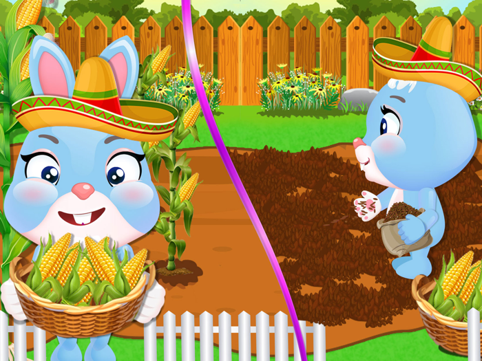 Tasty Popcorn maker factory