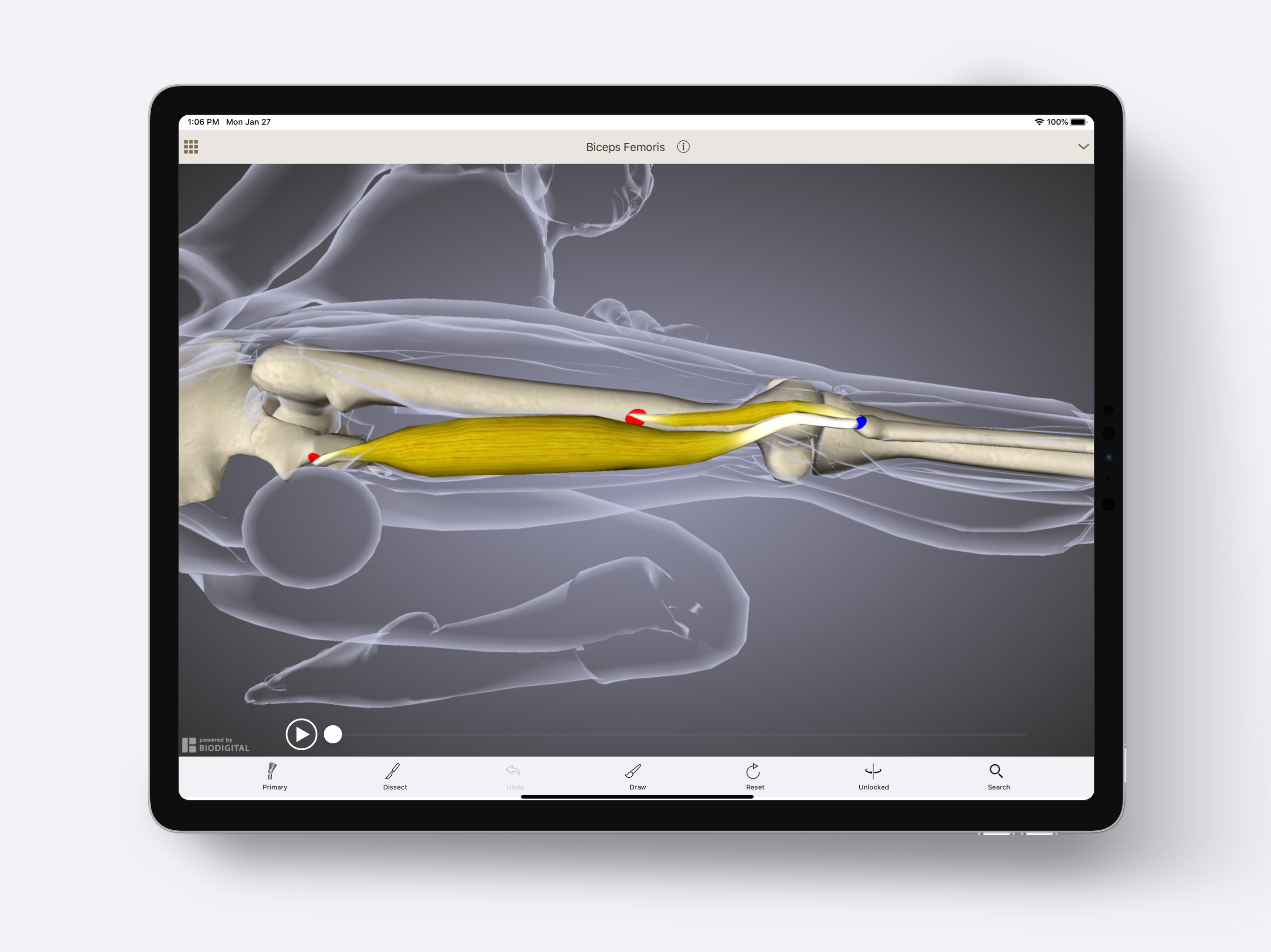 Anatomy U-Experiential Anatomy screenshot 7