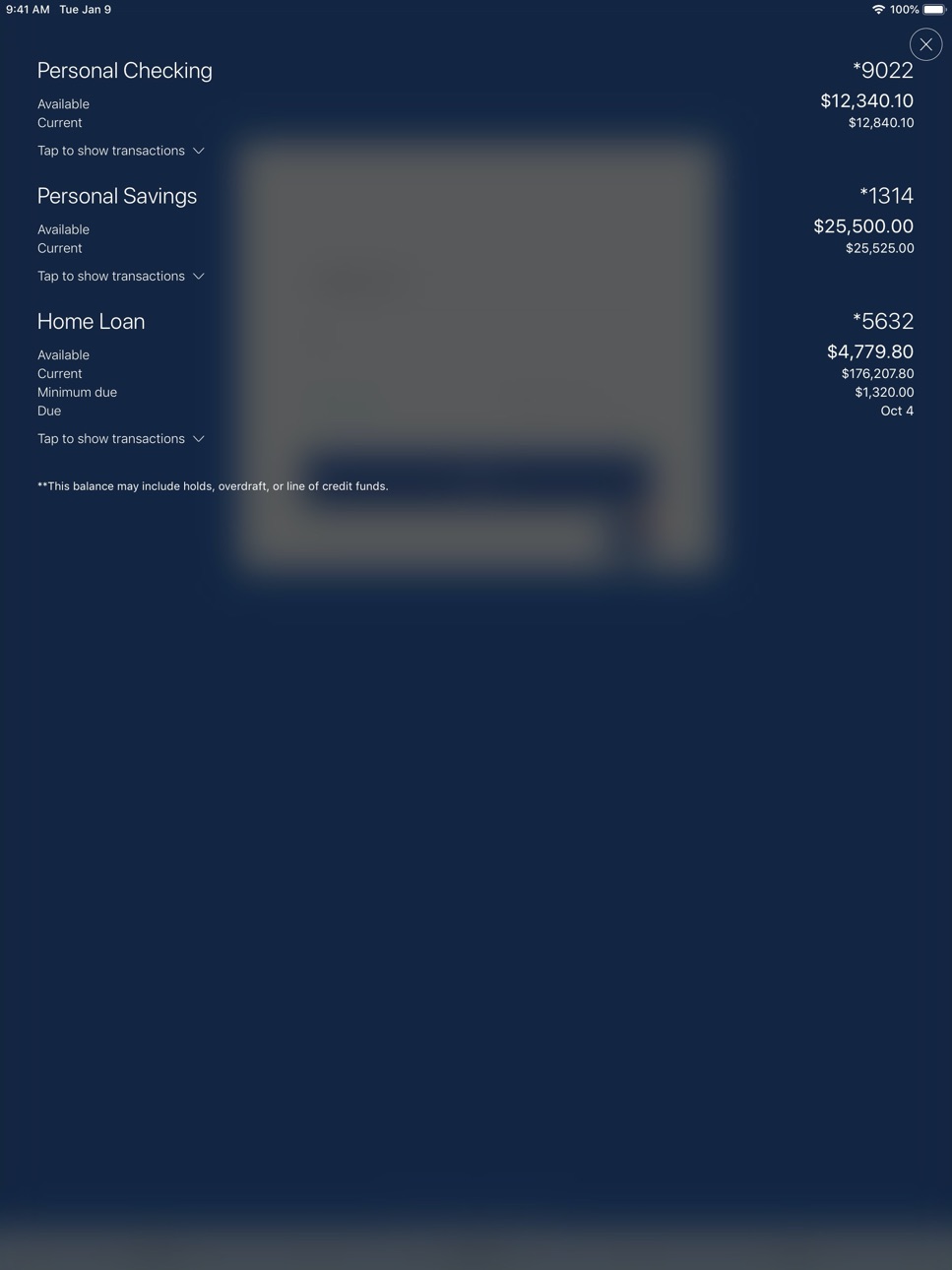 iPad screenshot