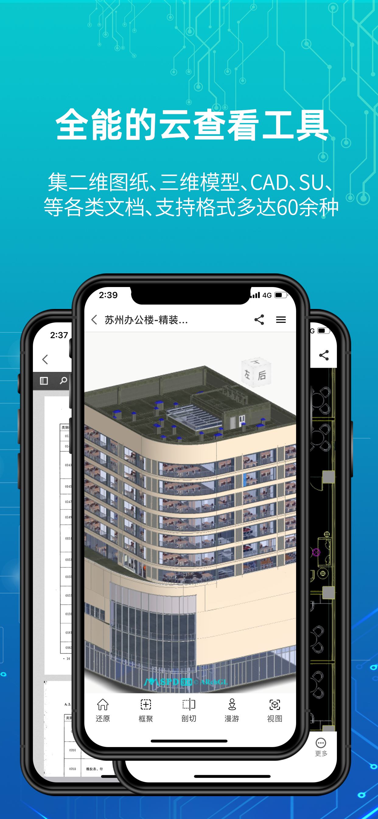 蜘蛛看看