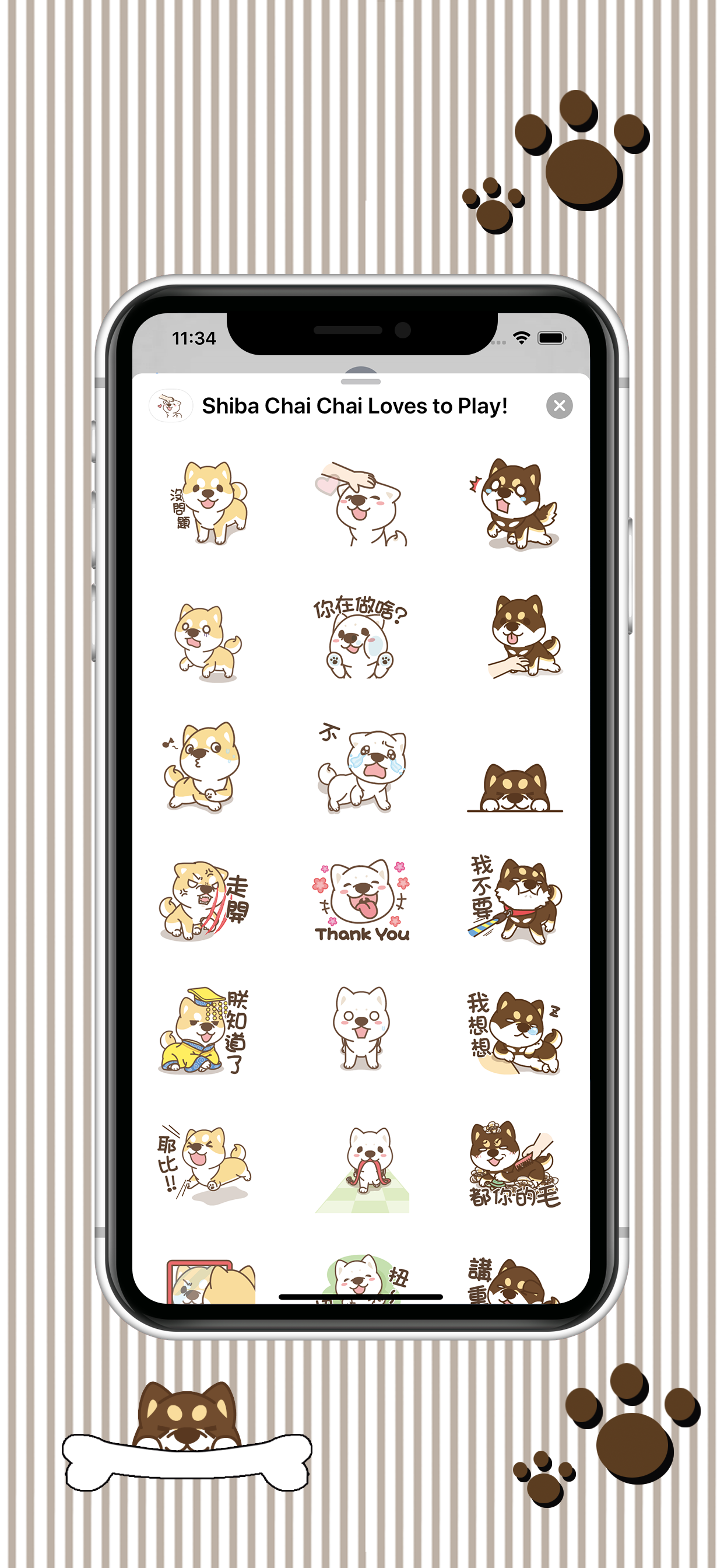 Shiba Chai Chai Loves to Play! screenshot 5