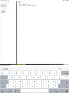 A-Shell iPad image 3