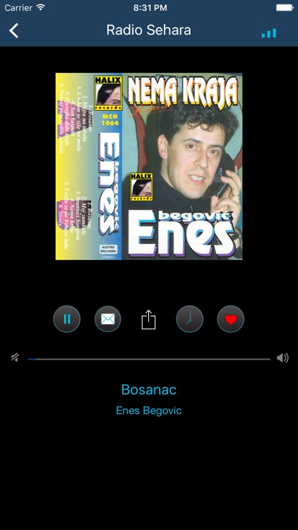 Bosanski Radio screenshot-5