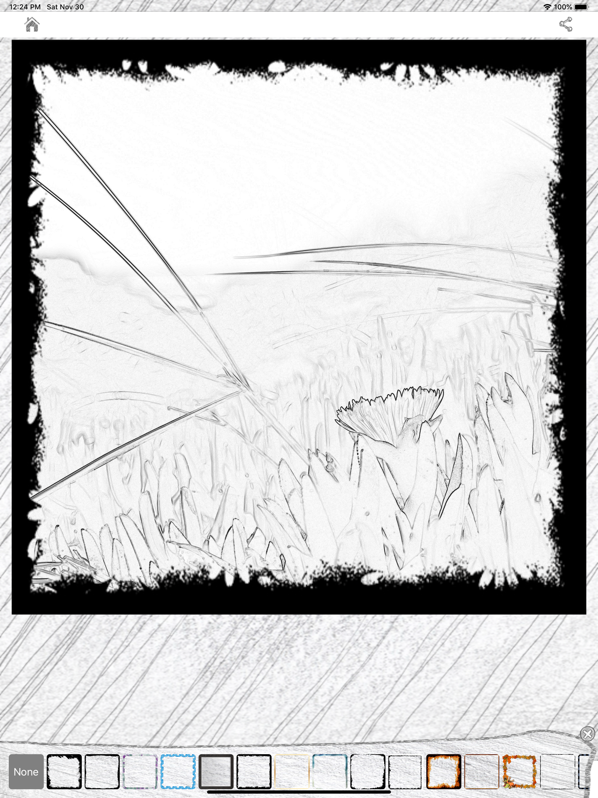 Photo Sketch Plus screenshot 9