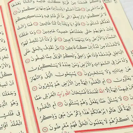 Holy Quran - 